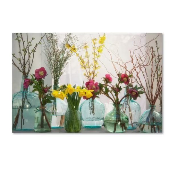 Cora Niele 'Spring Flowers In Glass Bottles I' Canvas Art, 16x24, Trademark Fine Art, Mfr#: ALI16470-C1624GG